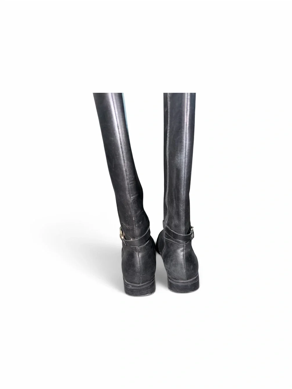 Talbots sleek tall